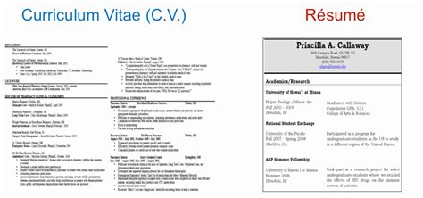 Some even wrongly conclude that both terms probably refer to the same document. Resume Cv Biodata Difference - Idalias Salon