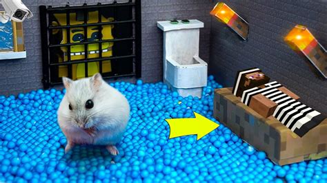 Minecraft Hamster Escapes From The Prison Maze Youtube