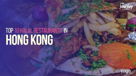 Top Halal Restaurants In Hong Kong City Hong Kong Youtube