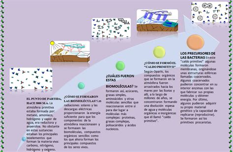 Con Ciencia Para La Vida Esquema Secuencial De Las Primeras Etapas Del