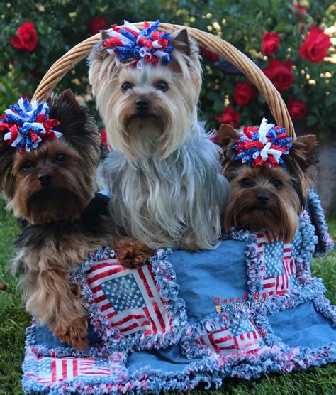 My Patriotic Girls With Their Patriotic Scrappy Woof Quilt
