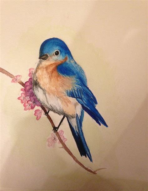Blue Bird Water Color Painting Print By Howmybrowneyesseeit 750
