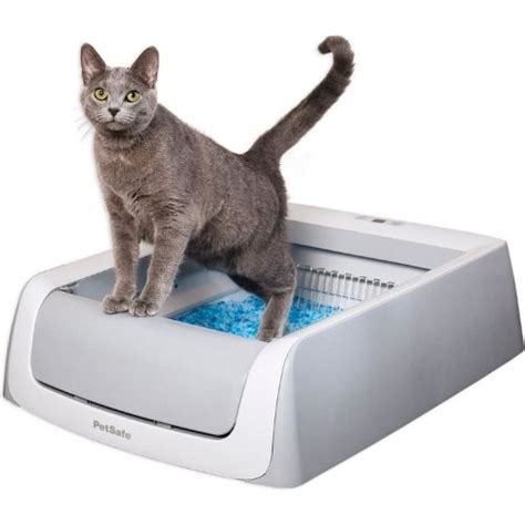 5 Best Sifting Litter Boxes 2023 Review Miss Cats