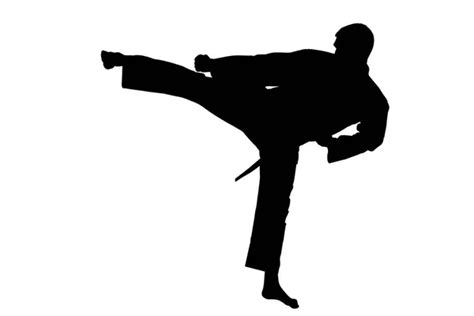 Martial Arts Boy Karate Punch — Stock Vector © Splavsk 2760039
