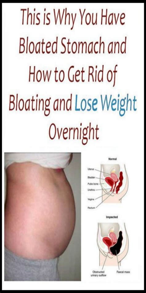 Having Troubles With A Bloated Stomach Here Are The 7 Habits You Need To Get Rid Of Bloated