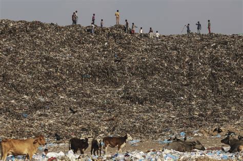 Mumbai Is Overflowing With Garbage Bloomberg
