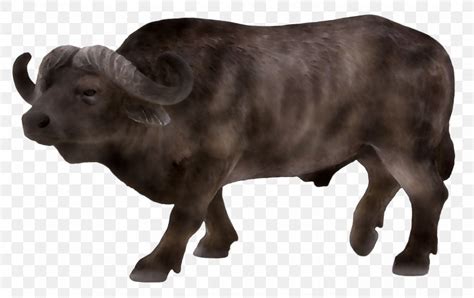 Water Buffalo Tims Toy Farm Schleich Cattle Png 3064x1934px Water