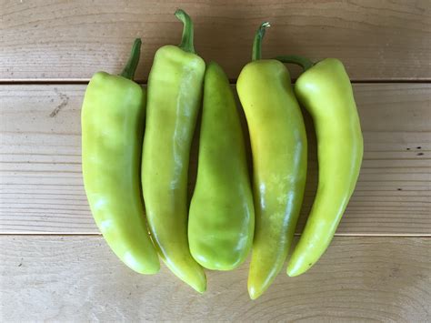 Hungarian Hot Wax Hot Pepper Certified Organic White Harvest Seed