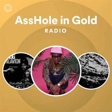 Asshole In Gold Spotify