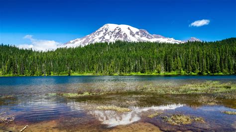 Mount Rainier 4k Wallpaper Design Corral