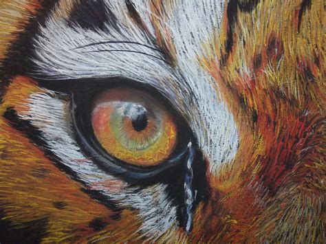 Tiger Eye Close Up Detail Soft Pastel On Cardboard