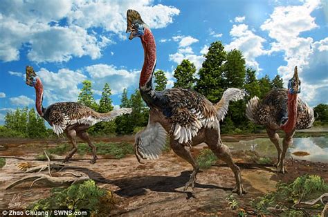 Winged Dinosaur Species With Head Crest Uncovered In China Daily Mail Online