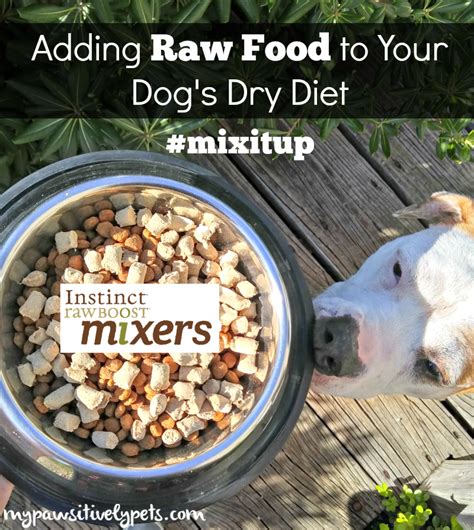 This diet consists of various bones and raw meats, supplements and vegetables. Adding Raw Food to Your Dog's Dry Diet #mixitup ...