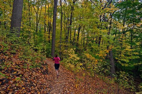 10 fun things to do outdoors this fall in Toronto