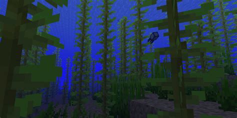 Minecraft How To Make Kelp Xp Farm 118