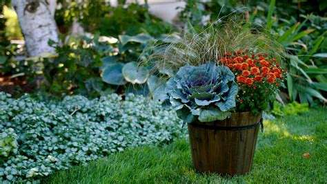 Plant A Fall Container Espoma