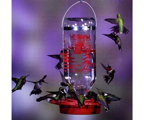 Buy The Best 1 Best 1 Hummingbird Feeder 32 Oz Best32 036027123453 On Sale At