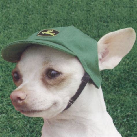 Tracking your dog was never easier! John Deere Pets - Merchandise for The Animals in Your Life