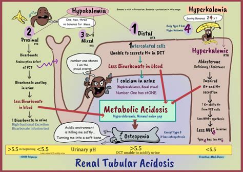 Renal Tubular Acidosis Types And Pathology Creative Med Doses Renal Acidosis Medical