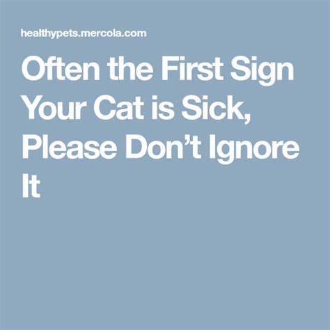 Often The First Sign Your Cat Is Sick Please Dont Ignore It Sick