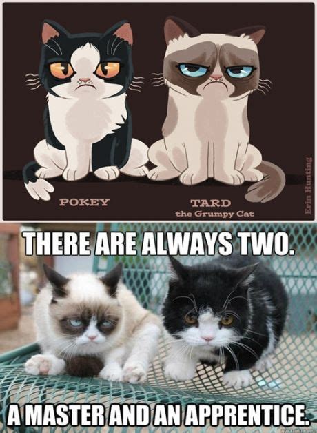 Image 534913 Grumpy Cat Know Your Meme