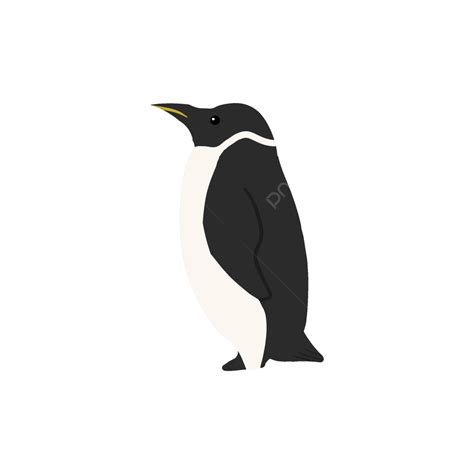Cartoon Penguin Silhouette Png Images Hand Drawn Cartoon Element