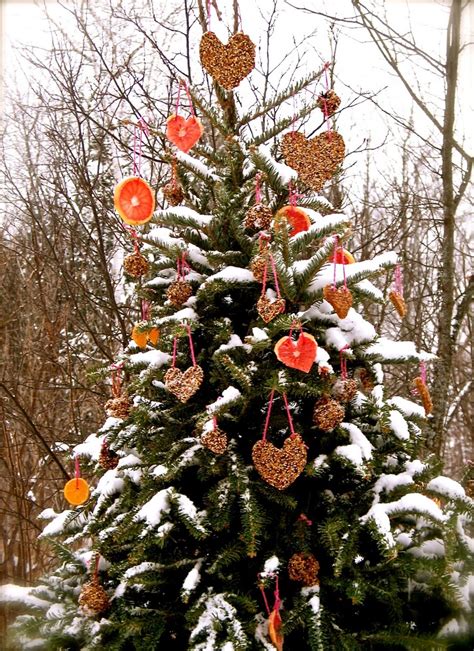 Our Giving Tree ~ A Valentine For The Birds Outdoor