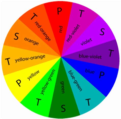 Braces Color Wheel Braces Color Wheel Vsawoo