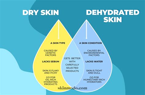 Dry Vs Dehydrated Skin How To Tell The Difference And How To Treat