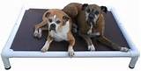 Kong Beds For Dogs Photos