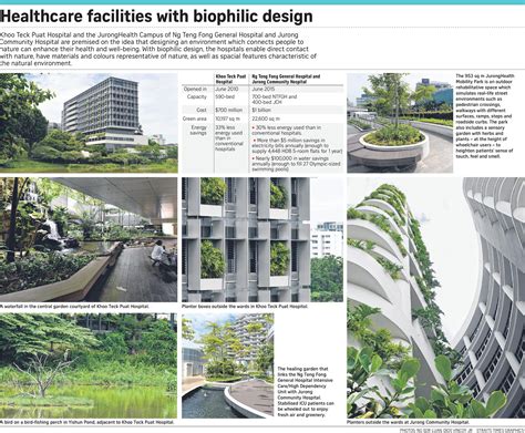 Hospitals That Seek To Heal With Nature Health News And Top