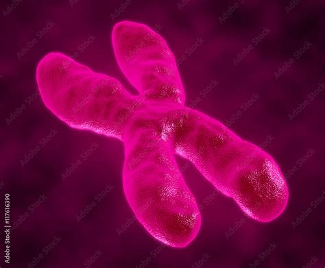 D Render Chromosomes Group As A Concept For A Human Biology X