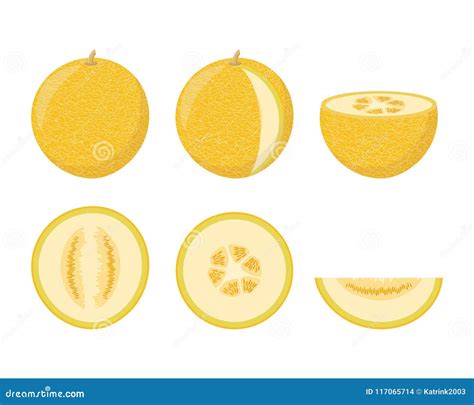 Set Of Colorful Melon Icons Stock Vector Illustration Of Dessert