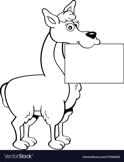 Cartoon Happy Llama Holding A Sign In Its Mouth Vector Image
