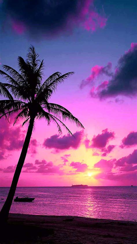 Pink Beach Sunset Wallpaper