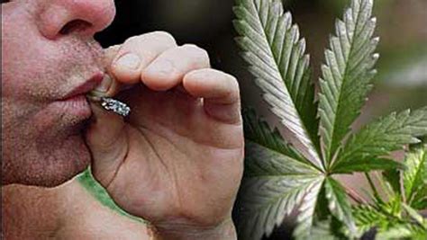 We did not find results for: Study: No lung danger from casual pot smoking - CBS News