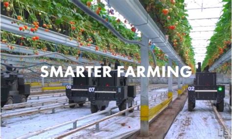 Specializing In Strawberry Picking Robots Tortuga Agtech Has A Total