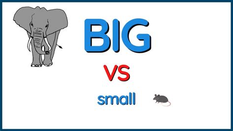 Concept Of Big And Small Comparison For Kids Tinas Preschool Youtube
