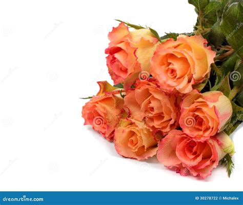 Peach Roses Bouquet Stock Photography Image 30278722