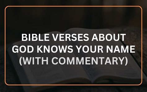 27 Bible Verses About God Knows Your Name With Commentary Scripture