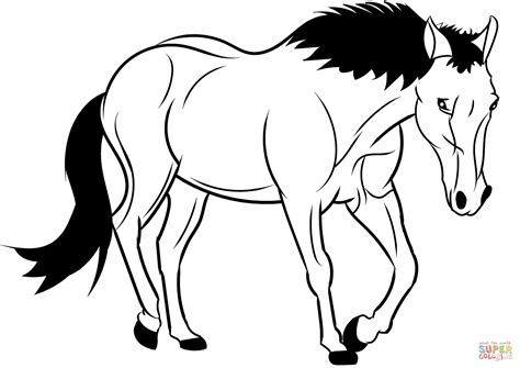 Dibujo De Caballo Para Colorear Dibujos Para Colorear Imprimir Gratis