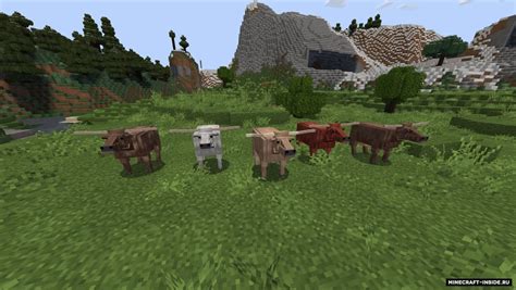 Realistic Animals 1165 Текстуры для Майнкрафт Minecraft Inside