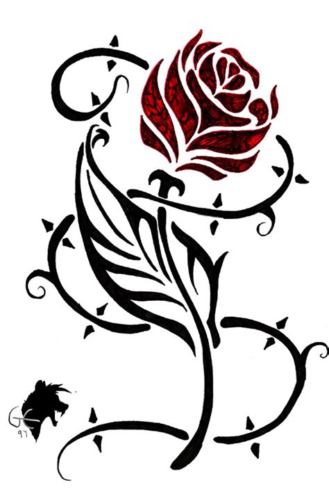 Tribal Rose Tattoo Stencil Real Photo Pictures Images And
