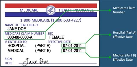 How To Get A Replacement Medicare Card In Florida