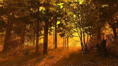 Autumn Forest 3d Screensaver And Live Wallpaper Hd Youtube