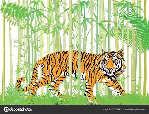 Tiger In The Bamboo Jungle Stock Vector Image By ©scusi0 9 147725297
