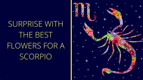Surprise With The Best Flowers For A Scorpio Zodiac Flower Guide