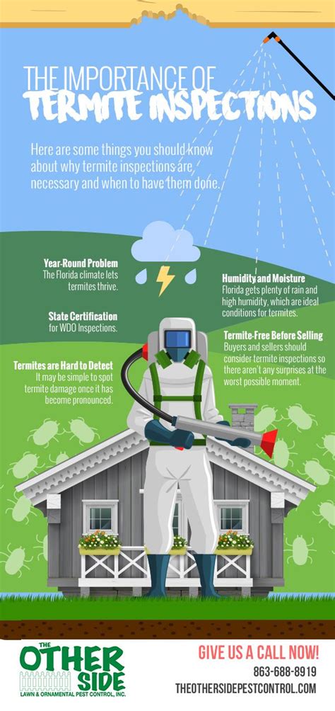 The Importance Of Termite Inspections Infographic Termite