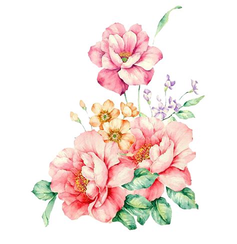 Flower T Images Png Watercolor Flower Png Watercolor Flower Png Images