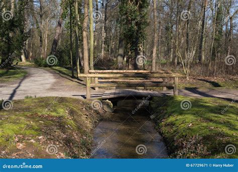 Bridge Over A Brook In A Forest Stock Image Image Of Brook River